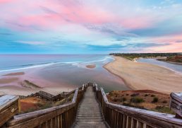 Beginner's Guide to South Australia