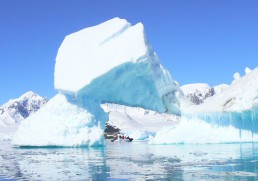 Top 7 sites on an Antarctic cruise