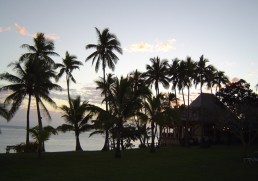 Beginner's Guide to Hawaii