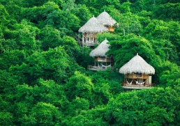 The world's best treehouse hotels