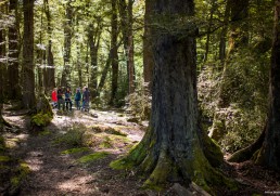 7 top tips for travelling on a budget