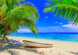 The different islands and tourist areas of Fiji