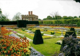 The world's best flower shows