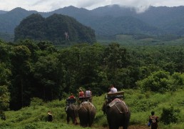 Where is your favourite national park?