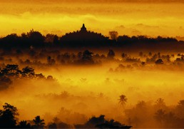 The best places to spot tigers in the wild