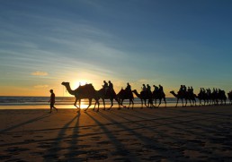 The best camel treks around the world