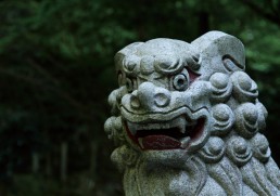 The world's best martial arts holidays