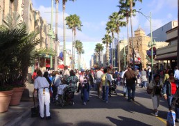 Are you ready for a thrill?