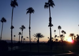 The World’s Best Gardens