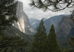 The Best Marathons In The World