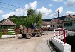 Escape on a Sicilian dream