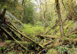 Do you have what it takes to ride?