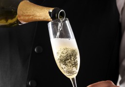 Lapping it up in Sydney