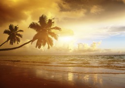 Stir it up (thrill seeking in the Caribbean)