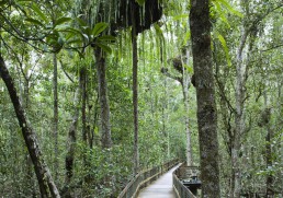 Some Top Eco-Holidays