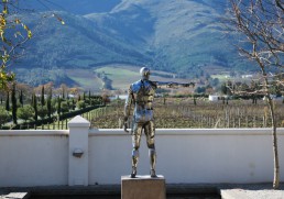 Spectacular South Africa