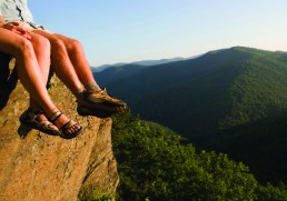 Shedding Light On The Black Forest