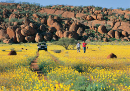 Experiencing the West Australian outback and its breathtaking wildflowers.