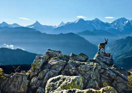 Switzerland - Ten Things To Know