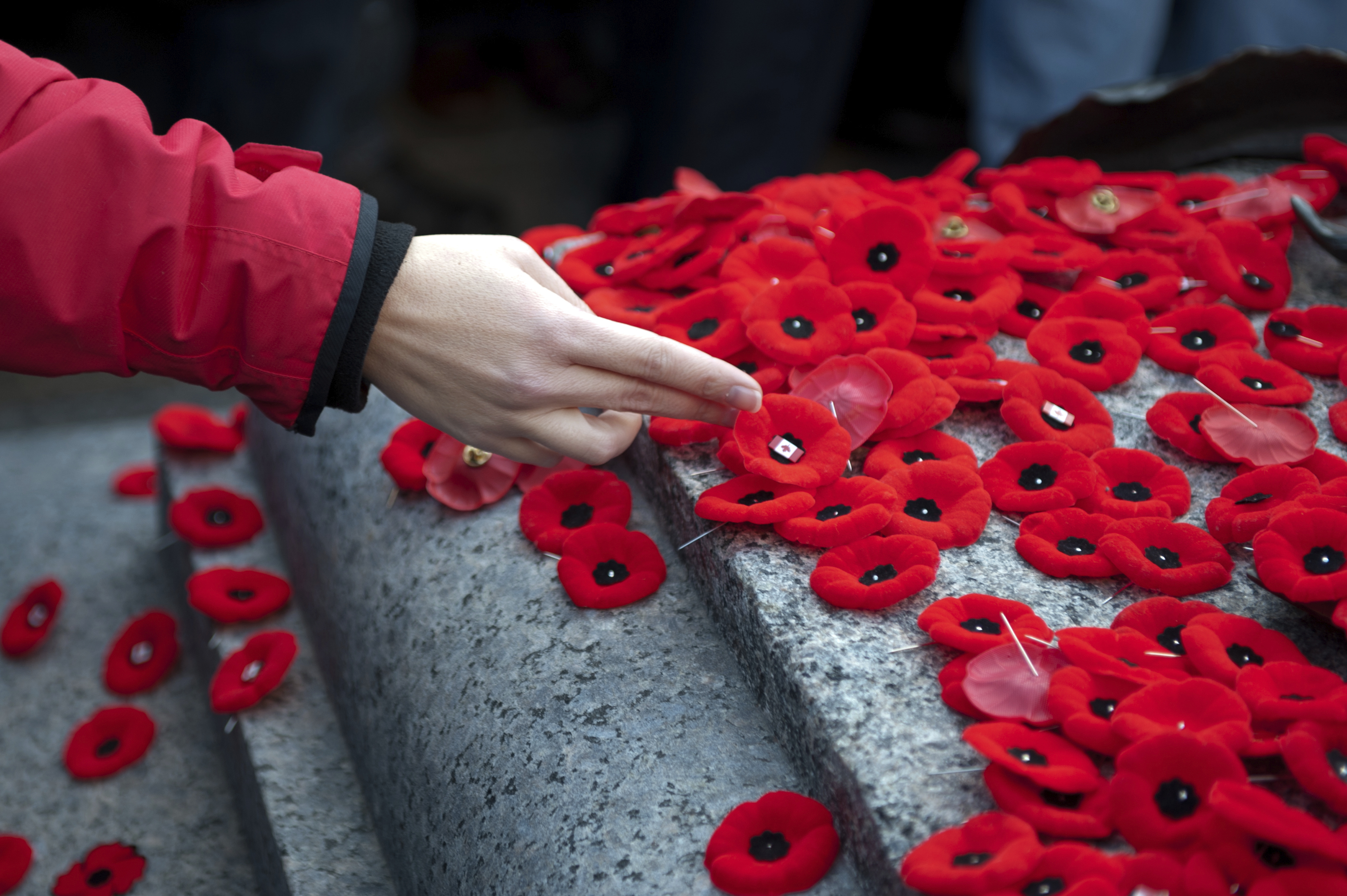 Lest We Forget - Step into the Pages of History with a Commemorative Tour