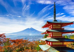 Small Group Tours in Japan