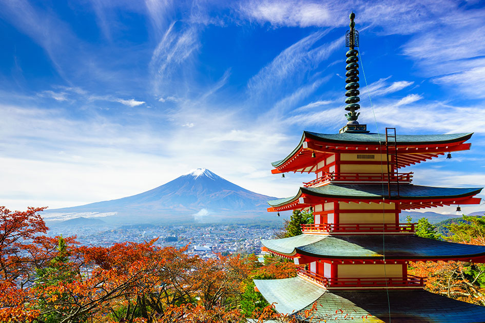 Small Group Tours in Japan