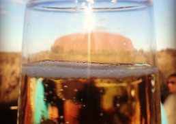 Discover the wonders within your own backyard