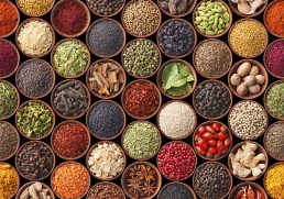 Got spice? A culinary tour of India