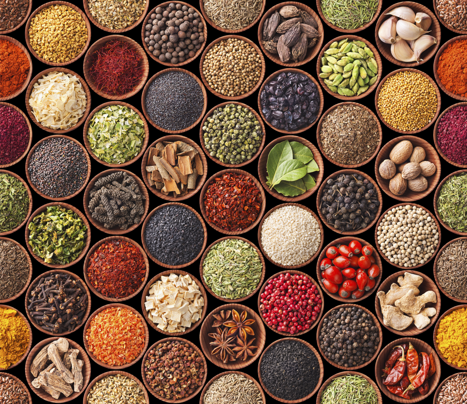 Got spice? A culinary tour of India