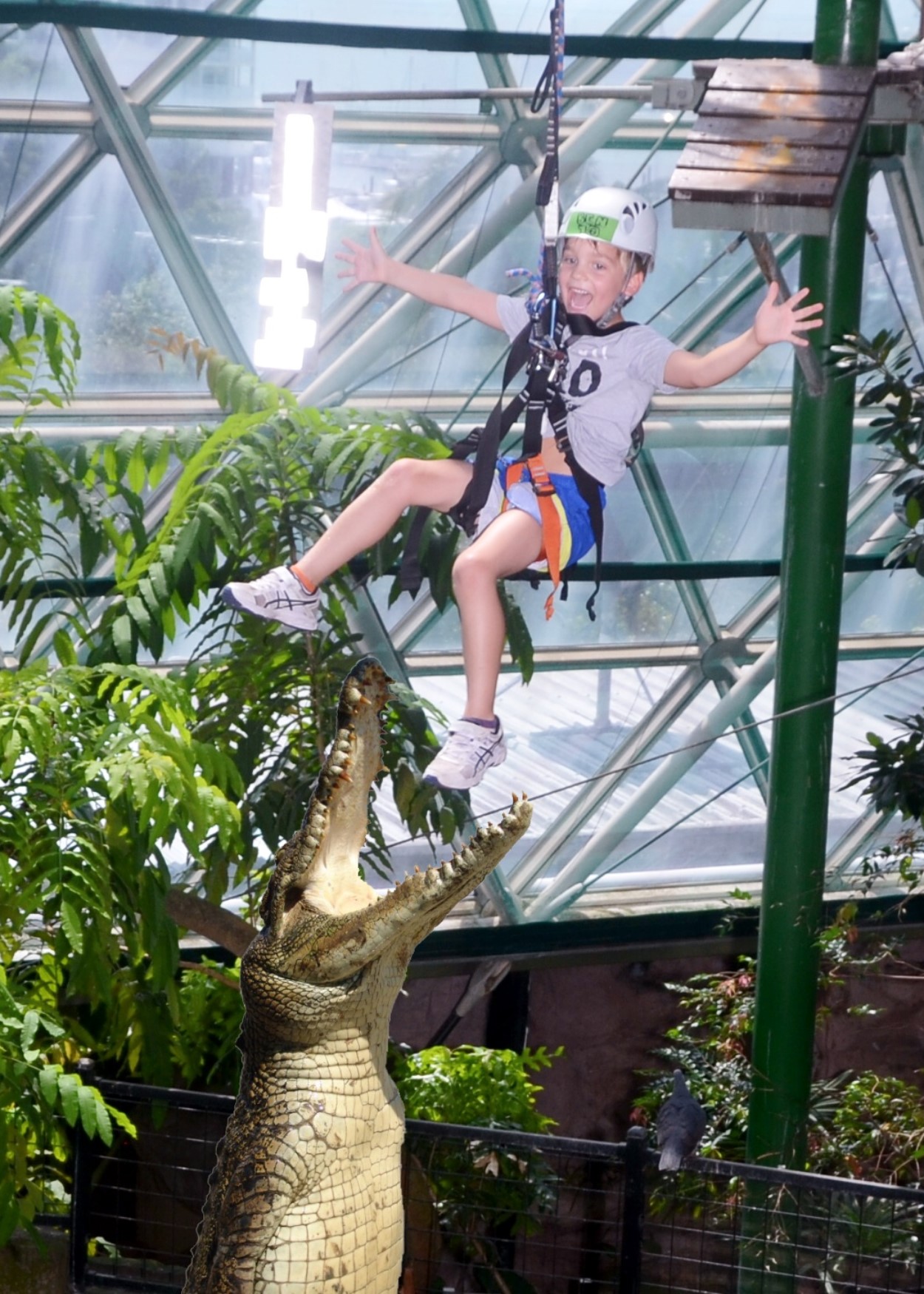 Top Activities for Kids in Cairns