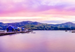 5 things you can expect on a New Zealand Cruise