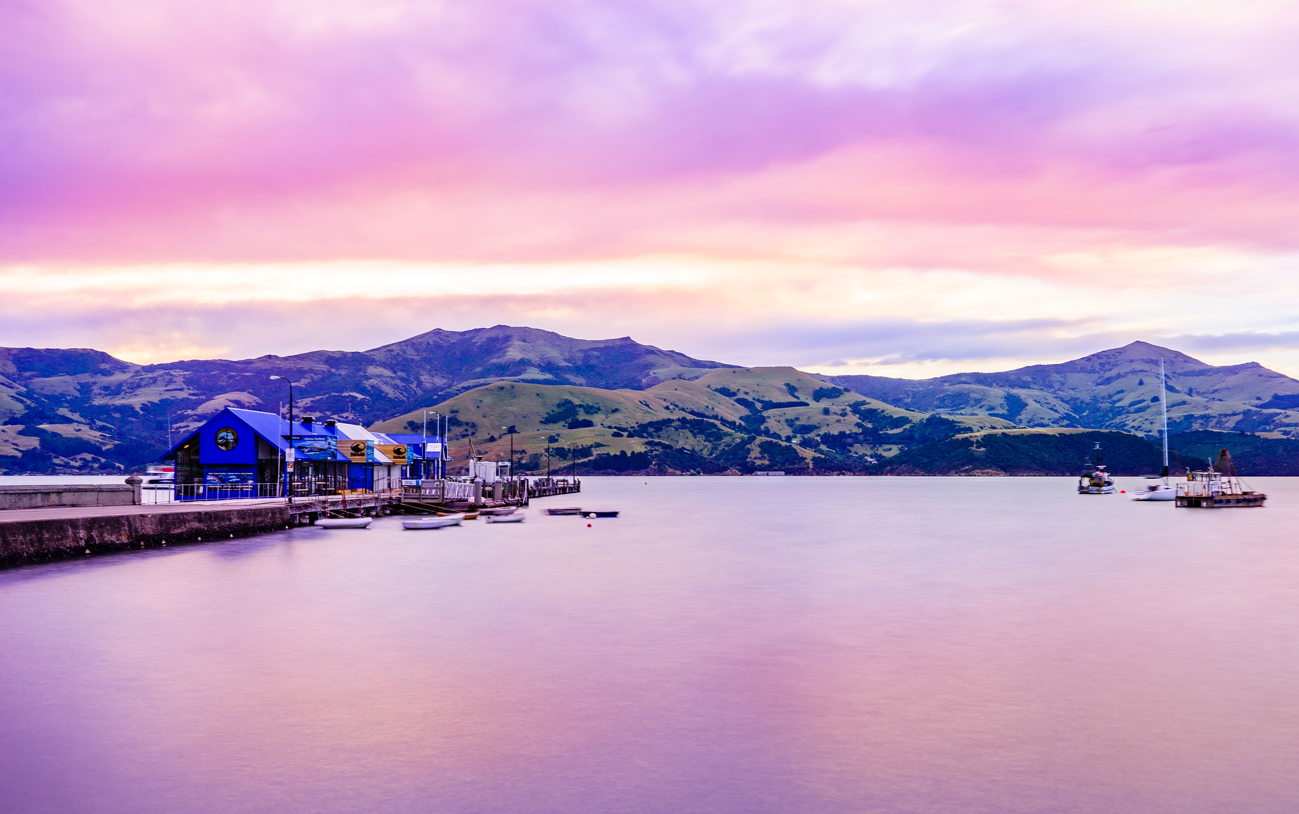 5 things you can expect on a New Zealand Cruise
