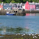 Colourful waterfront - Tobermory