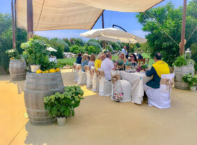 Private Sardinian Winery Luncheon
