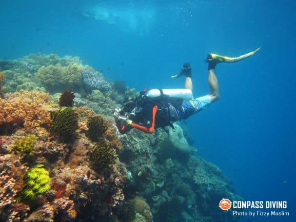 Discover Timor-Leste