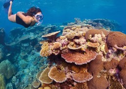 The Gems of the Great Barrier Reef