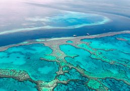 The Gems of the Great Barrier Reef