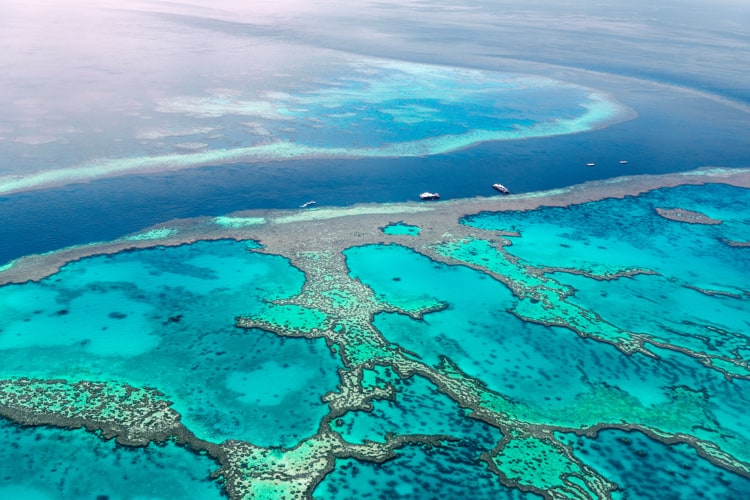 The Gems of the Great Barrier Reef