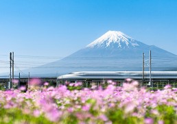 Five amazing outdoor experiences in Japan