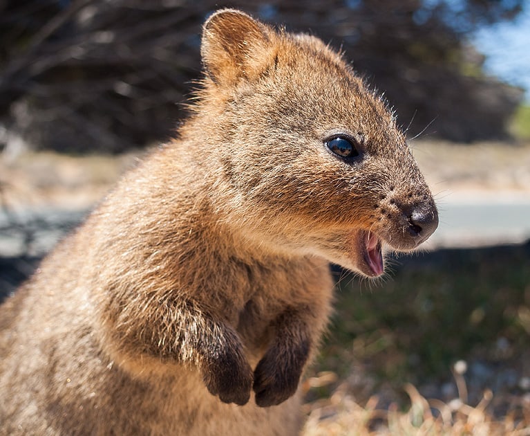 Your package includes: 