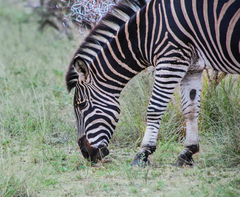  Your package highlights: