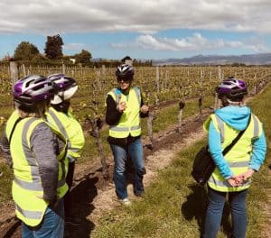 In the vines on our cycling wine tasting tour
