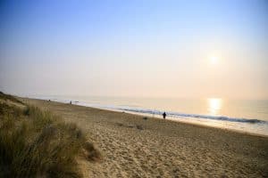 Image credit Rob Blackburn