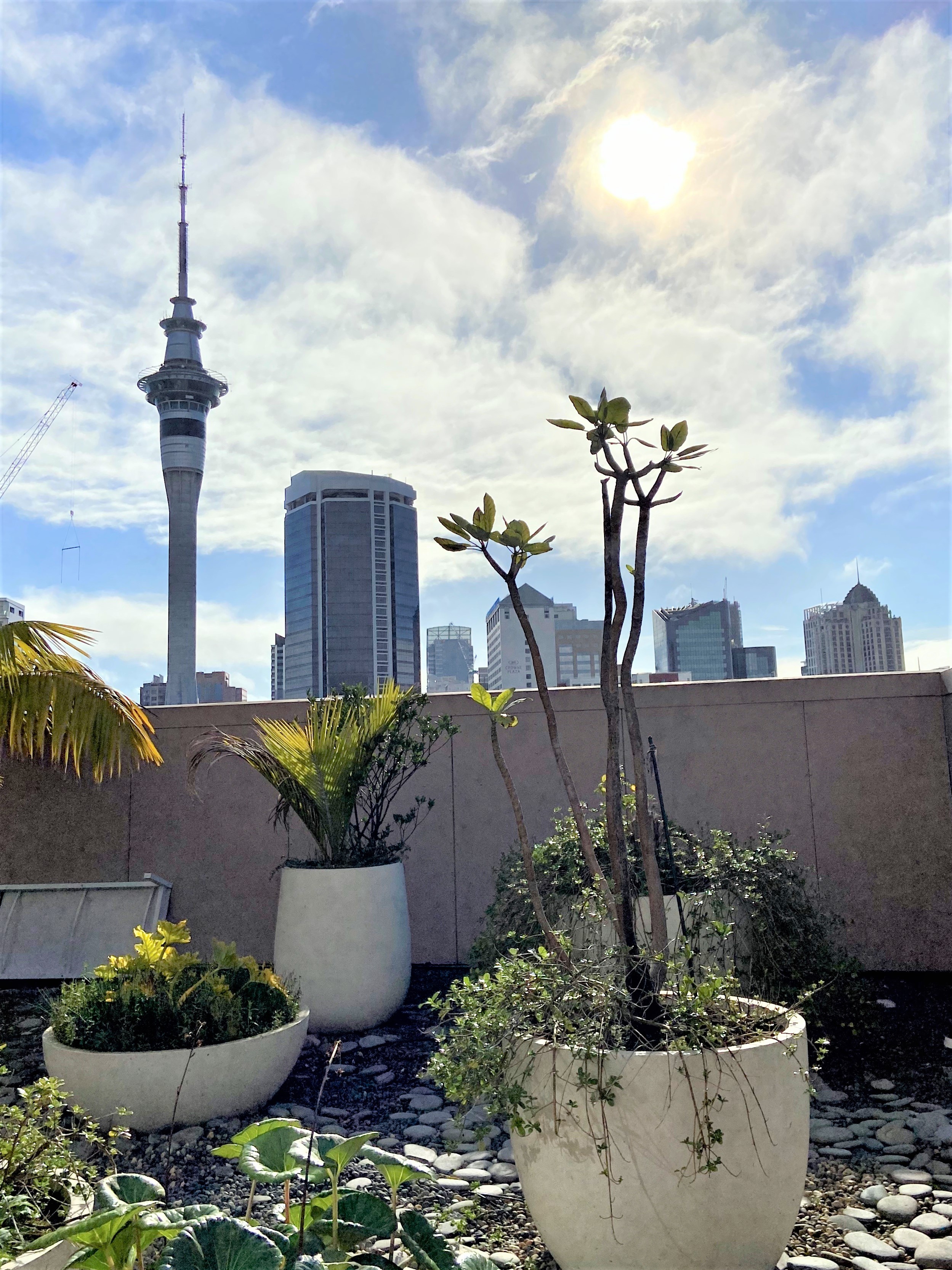 Behind the fence, life in an isolation Hotel