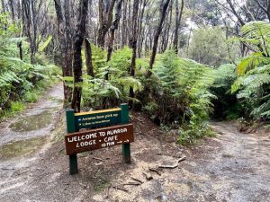 This way to Awaroa Lodge