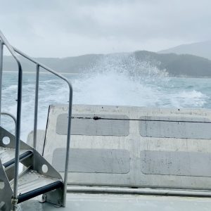 A rough ride in the Abel Tasman