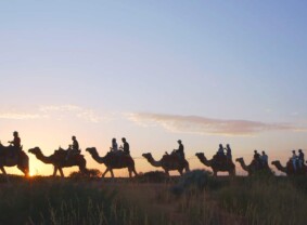 Camel Train tour, Uluru. Image credit: Tourism Australia/The Precinct