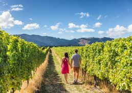 Your Complete Guide to New Zealand’s South Island Wine Regions