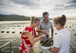 10 Unique Food and Brewery Experiences on New Zealand’s South Island