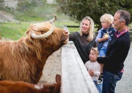 New Zealand South Island Family Road Trip - 10 Stops Everyone Will Love